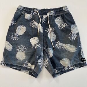 Barney Cools Distressed Grunge Pineapple‎ Boardshorts, Barney Cools Mens 195